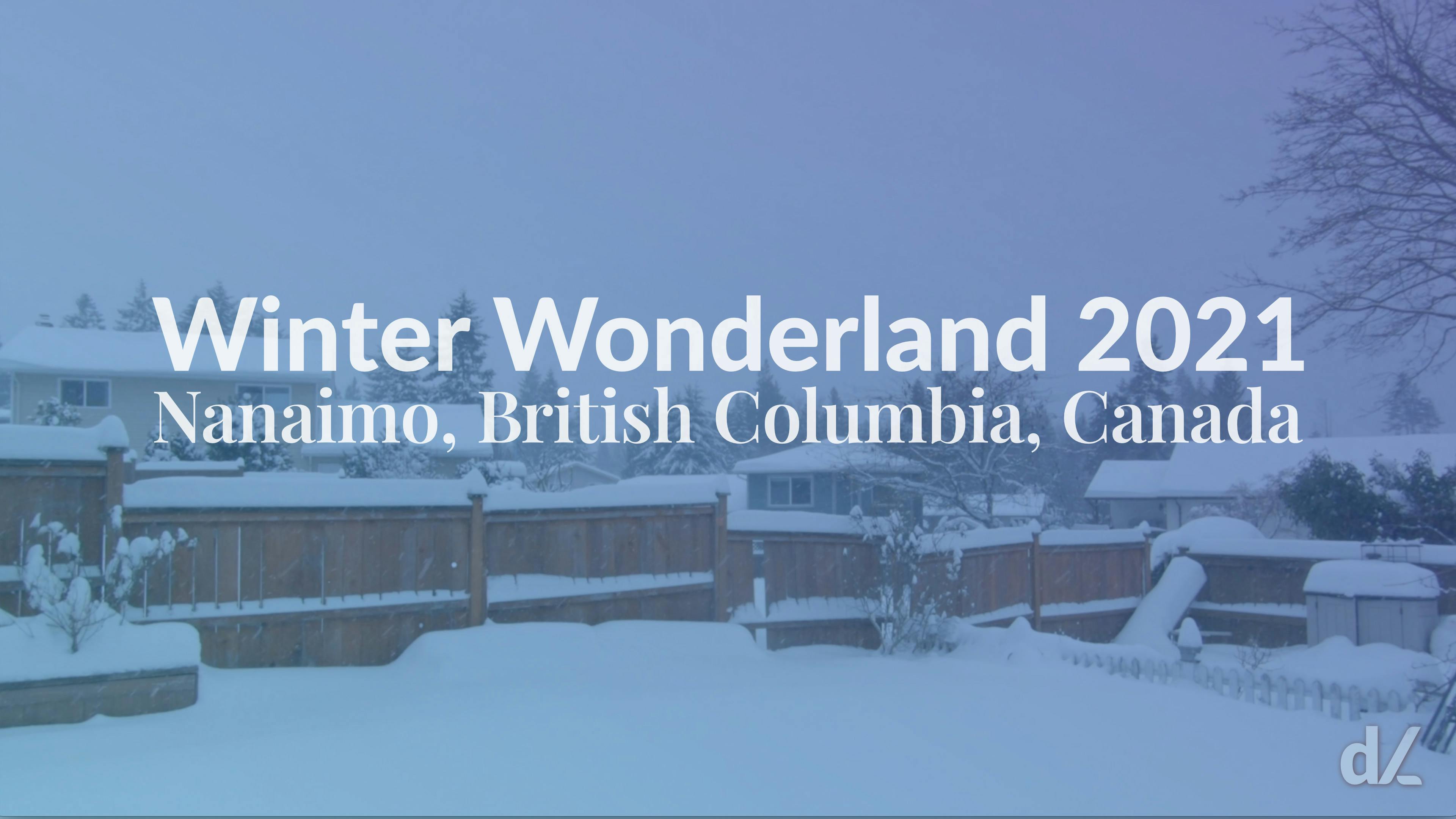 Winter Wonderland December 2021